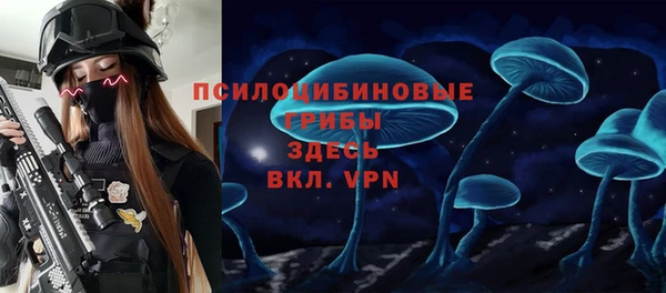 стаф Алексин