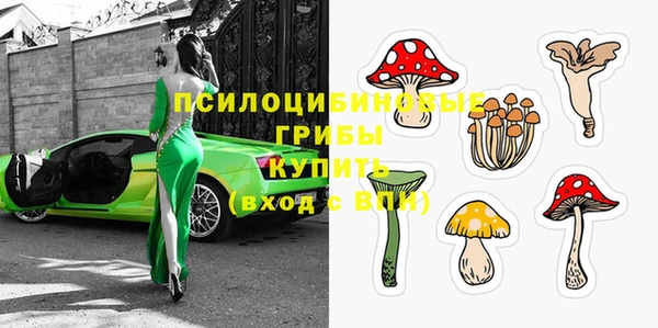 стаф Алексин