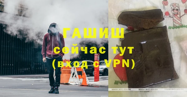 стаф Алексин