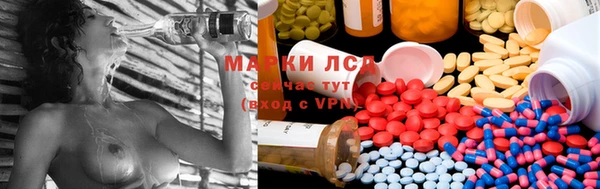 стаф Алексин
