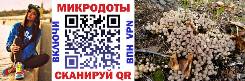 Галлюциногенные грибы мицелий  KRAKEN ONION  Аткарск 