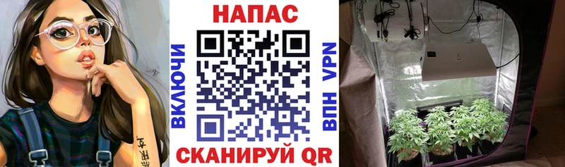 Каннабис White Widow  закладки  Аткарск 
